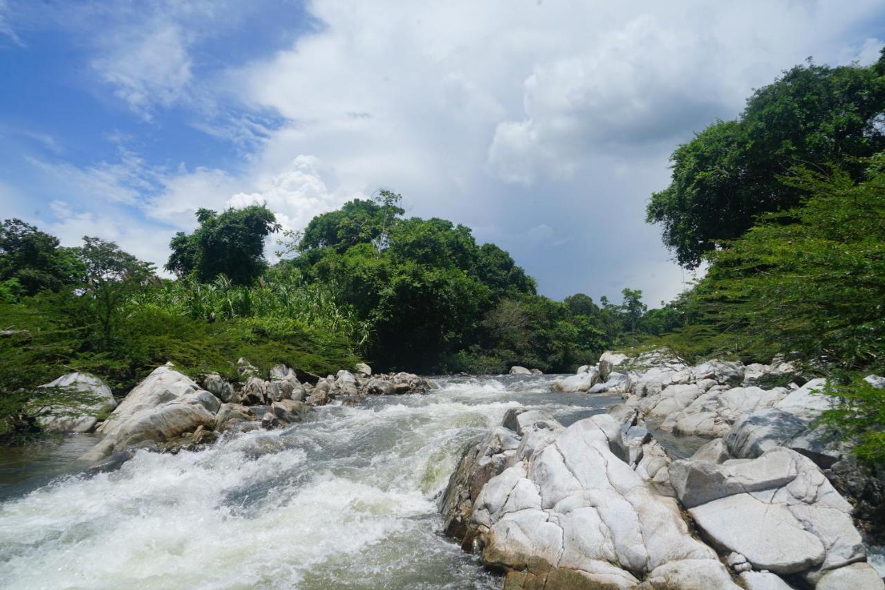 La Ponderosa Reserve Buritaca Buitenkant foto