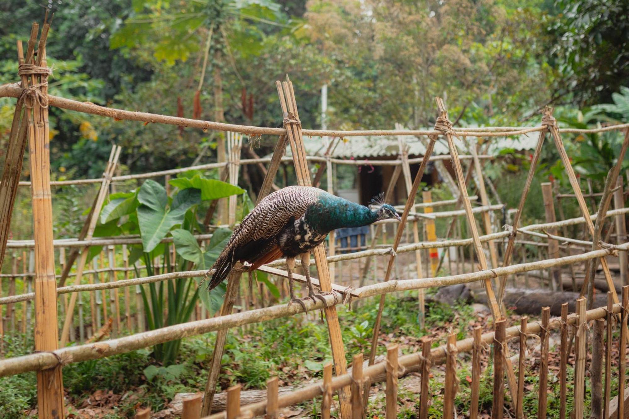 La Ponderosa Reserve Buritaca Buitenkant foto